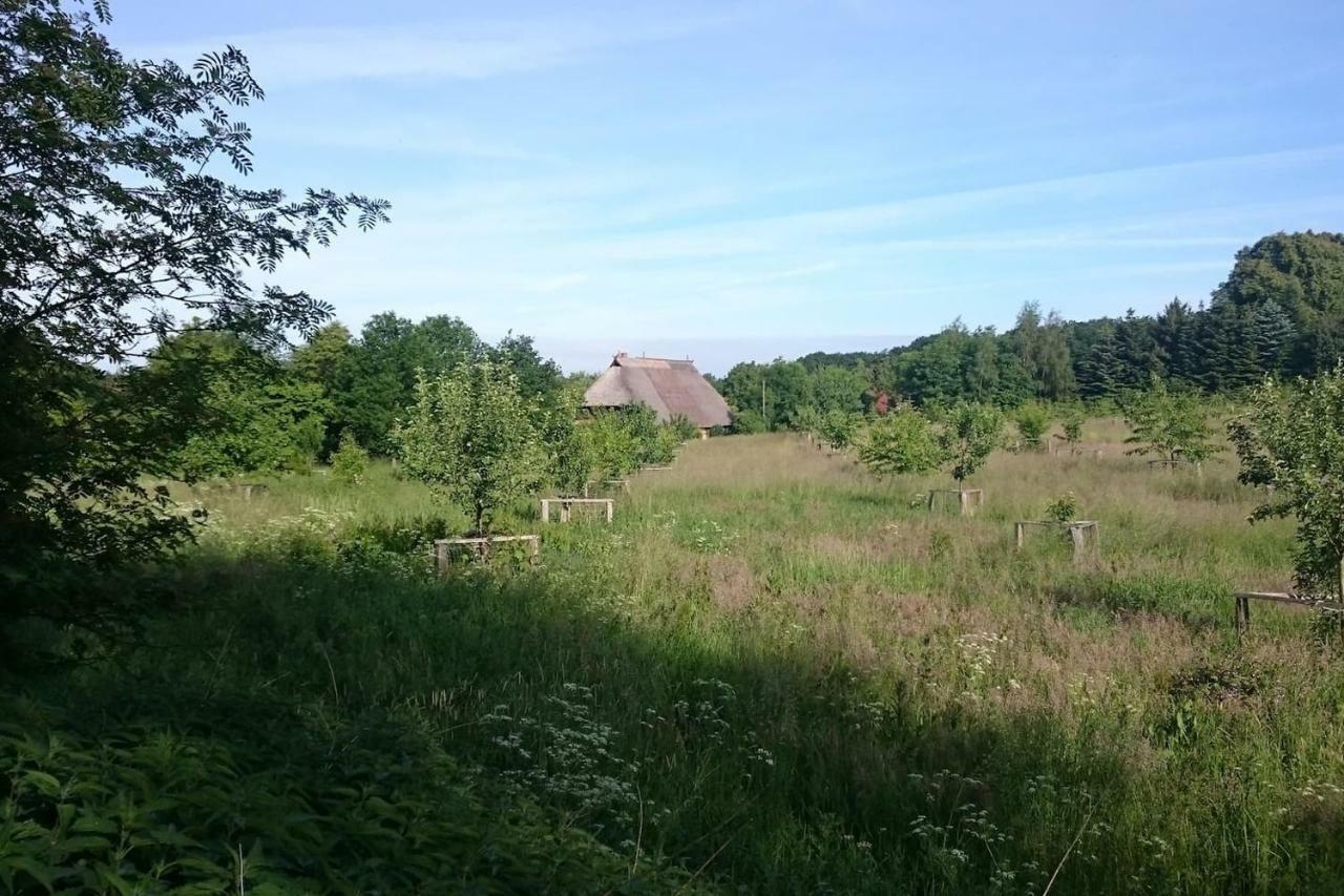Chalet Forsthof Everstorf Grevesmuhlen Bagian luar foto